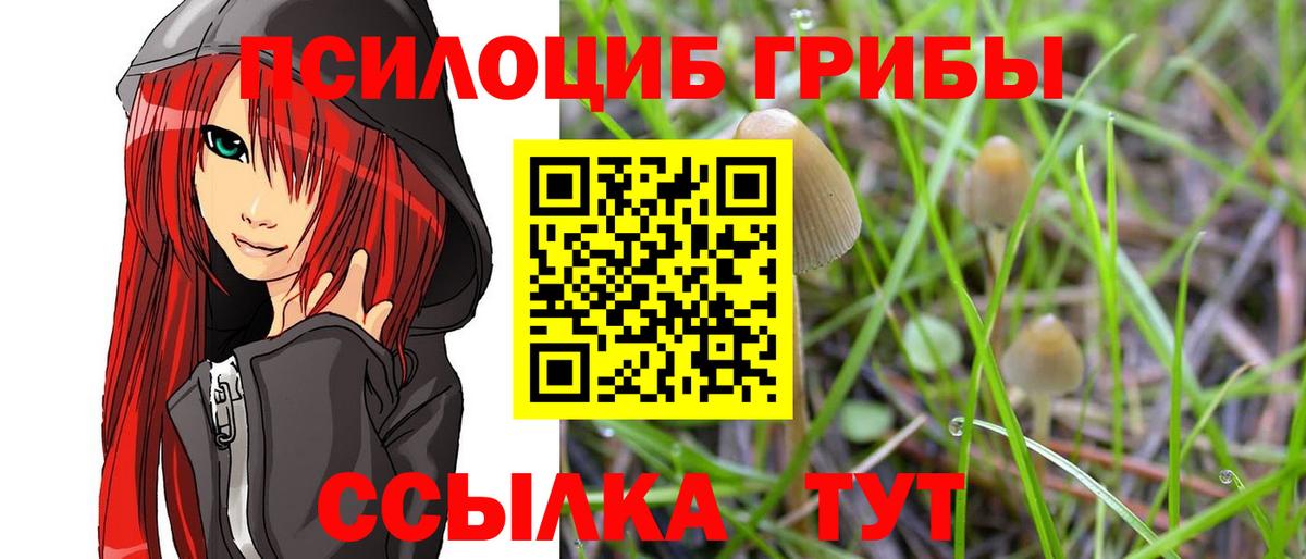 Галлюциногенные грибы мицелий Малгобек
