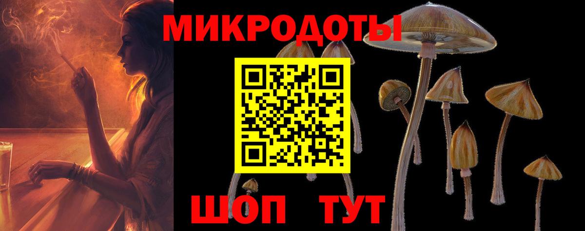 Малгобек  Галлюциногенные грибы Psilocybine cubensis  Псилоцибиновые грибы MAGIC MUSHROOMS  Вход с VPN 